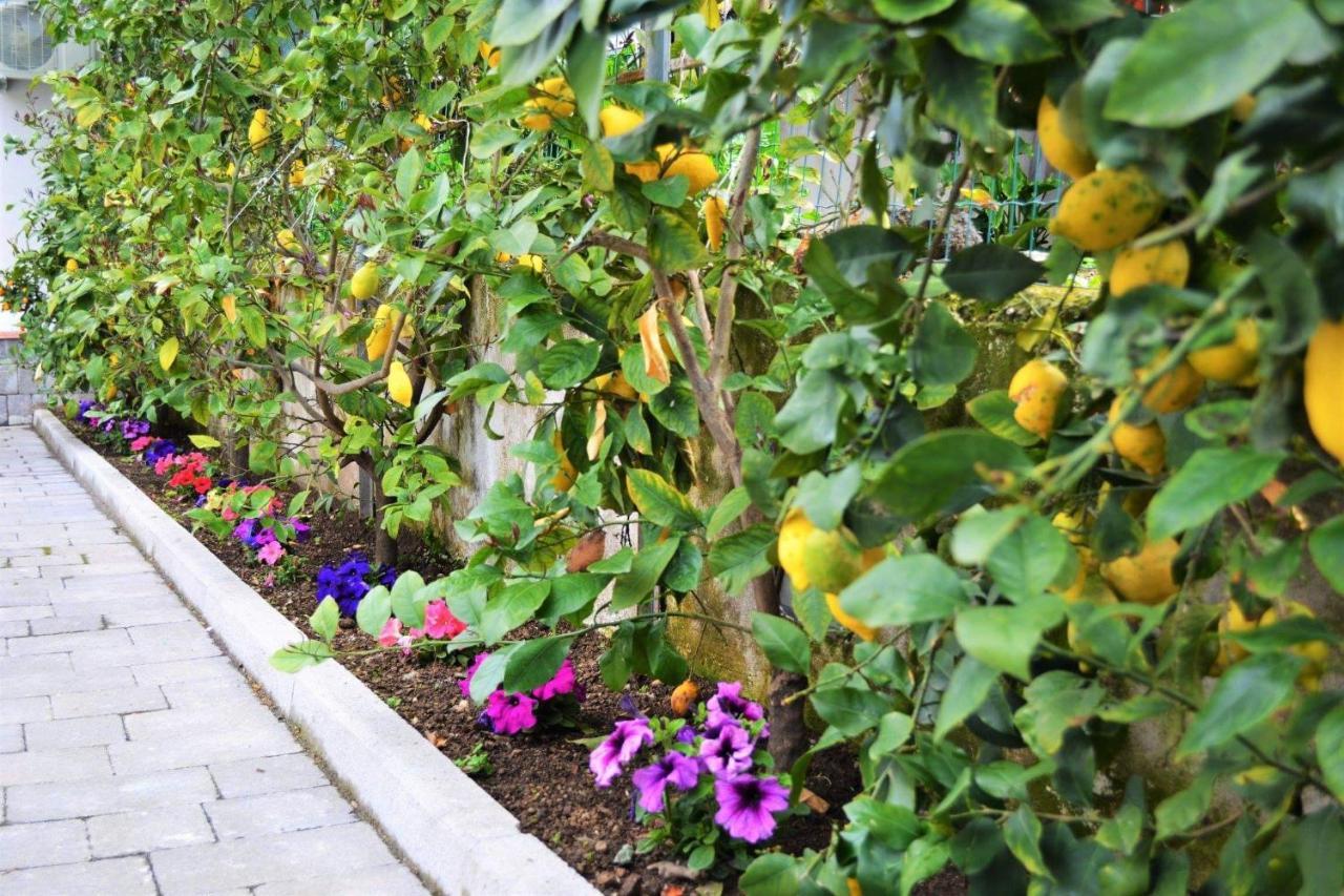 Bed and Breakfast Casa Fiorita Gragnano Exterior foto